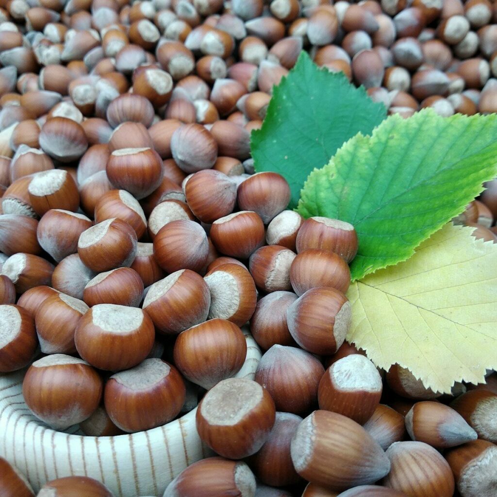 a group of brown and white nuts